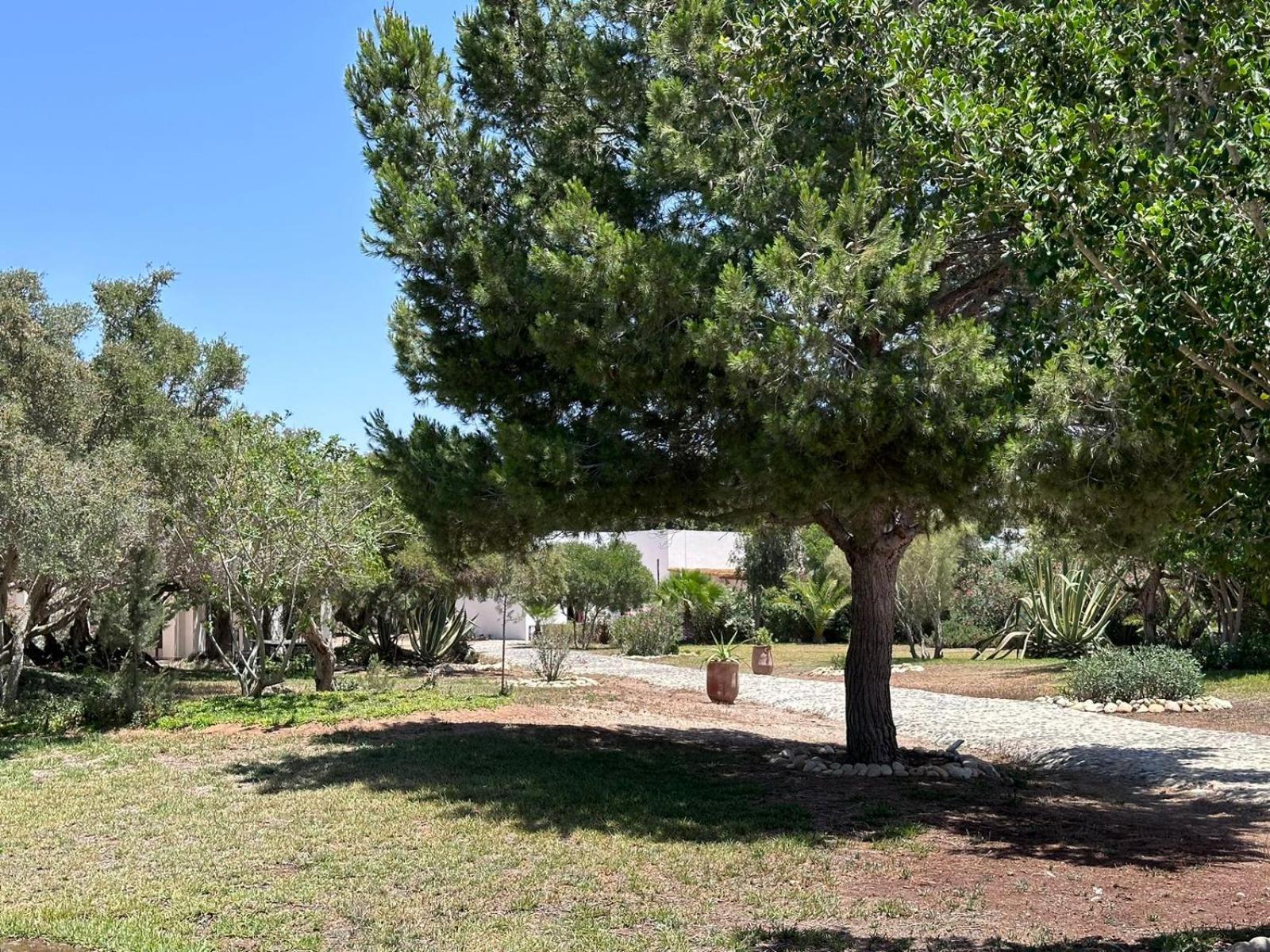 מלון Al Ghar Domaine De L'Arganeraie מראה חיצוני תמונה
